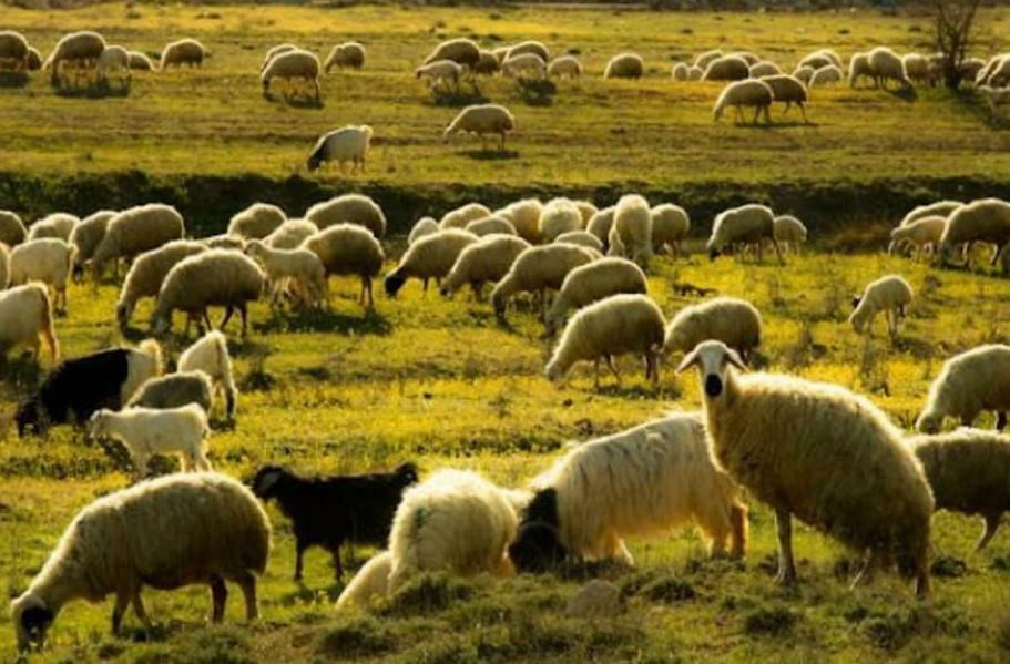 Köyümde yaşamak için bir sürü nedenim var