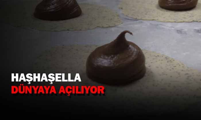 AFYON’DAN AVRUPA’YA HAŞHAŞELLA