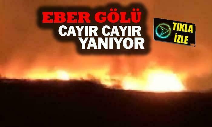 Eber Gölü yine cayır cayır yandı
