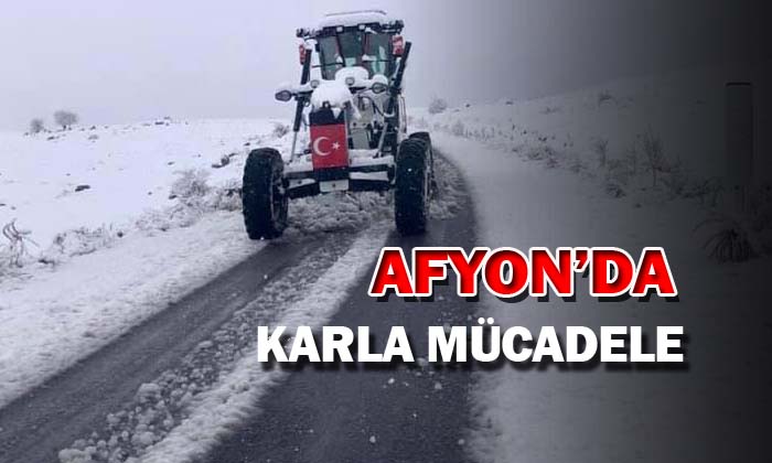 KARLA MÜCADELE