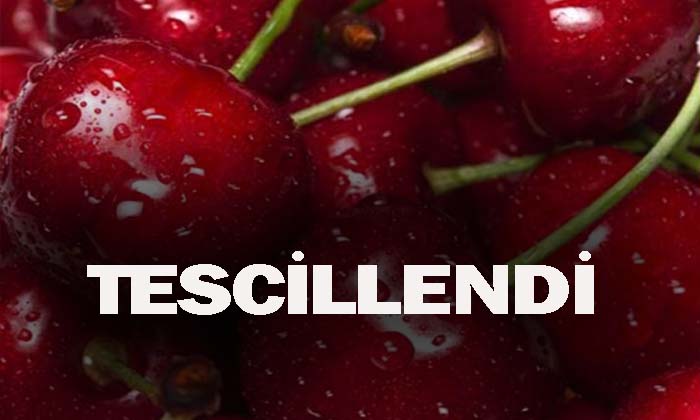 Tescil Aldık