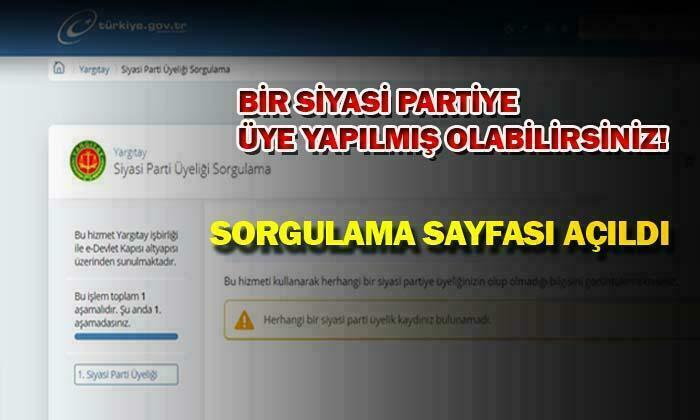 Siyasi Parti Üyelik Sorgulama Ekranı