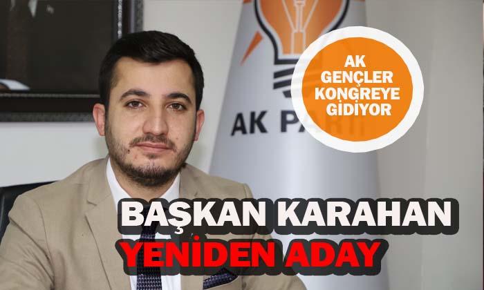 AK Gençlik sandığa gidiyor