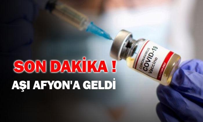 Aşılar Afyonkarahisar’a Geldi