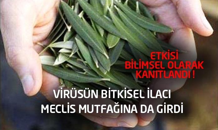 Milletvekilleri Virüsten Böyle Korunuyor