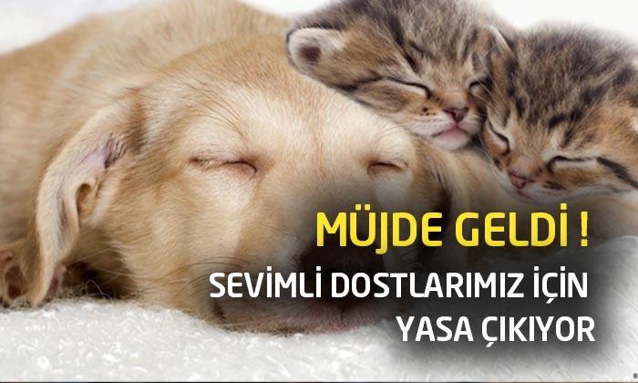 Sevimli Dostlarımız İçin Yasa Çıkıyor