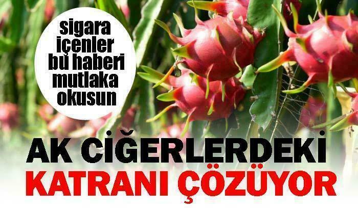 Sigara içiyorsanız bu haberi mutlaka okuyun!