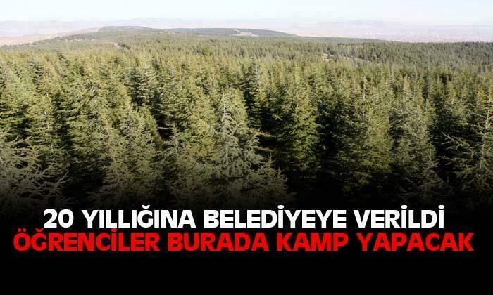 Öğrencilerin yeni kamp alanı olacak