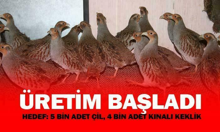 Üretim başladı