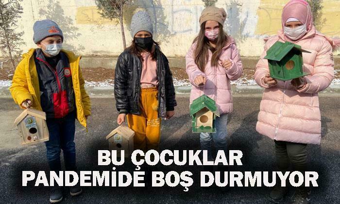 Pandemi Dönemini Fırsata Çevirdiler