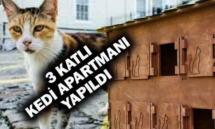 Kediler İçin Apartman Yapıldı