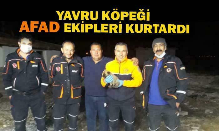 Yavru köpeği AFAD ekipleri kurtardı