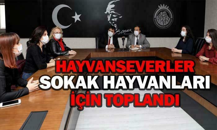 Sokak hayvanları için toplandılar