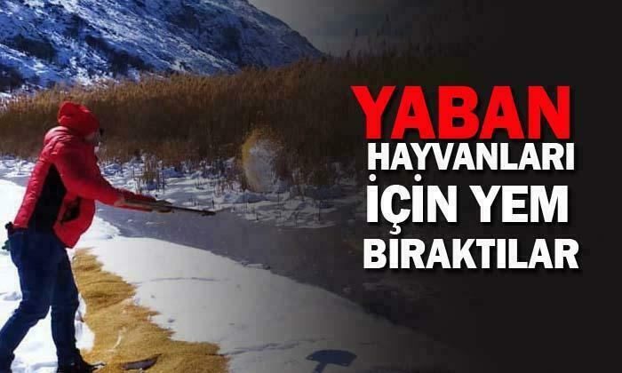 Yaban hayvanları aç kalmıyor