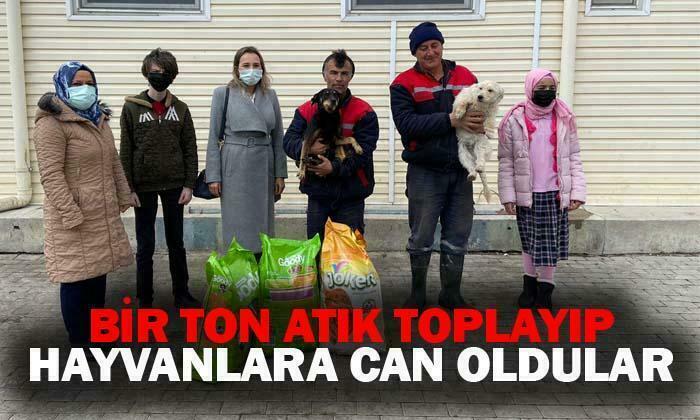 Bir ton atık kağıt toplayıp hayvanlara can oldular