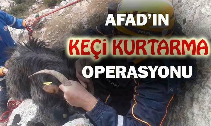 Keçi Kurtarma Operasyonu