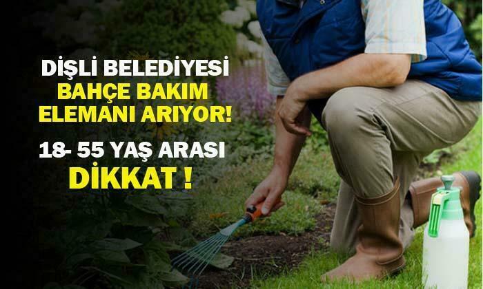 Dişli Belediyesi bahçe bakım elamanı arıyor