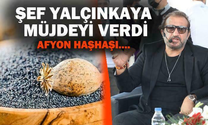 Afyon Haşhaşı