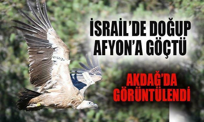 İsrail’de Doğdu, Afyon’a Göçtü