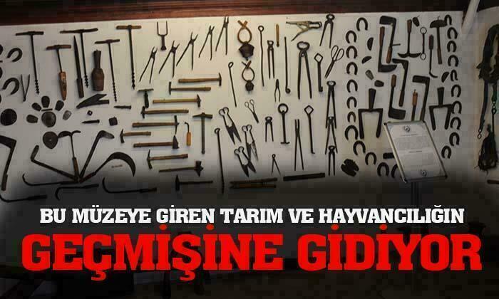 Afyonkarahisar’da Tarım Hayvancılık ve Nalbant müzesine yoğun ilgi