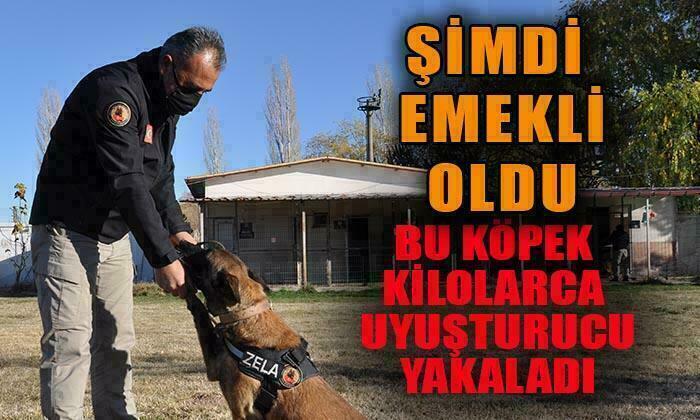 Afyon emniyetinin hassas burnu Zela emekli oldu