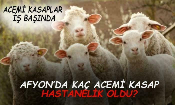 Afyon’da kaç acemi kasap hastanelik oldu