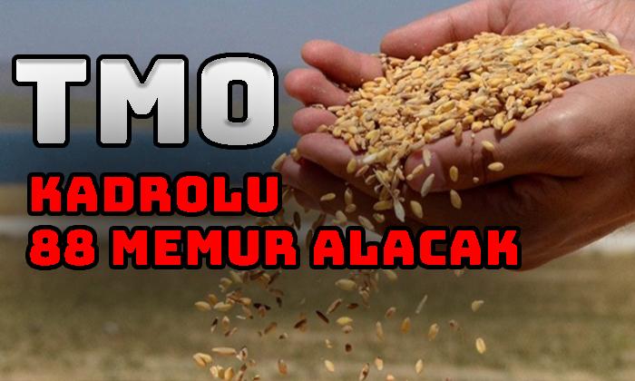 TMO Afyon’a Memur Alacak