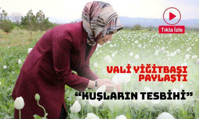 Vali Yiğitbaşı Paylaştı