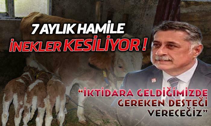CHP İl Başkanı Görgöz’den Tepki