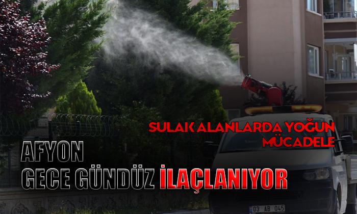 Afyon Gece Gündüz İlaçlanıyor