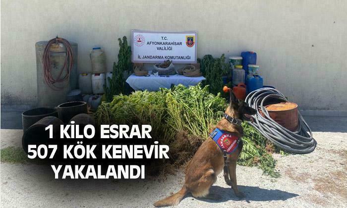 Afyonkarahisar’da 1 kilo esrar ile 507 kök kenevir ele geçirildi