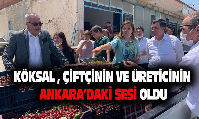 Köksal, Çiftçi ve Üreticinin Sesi Oldu