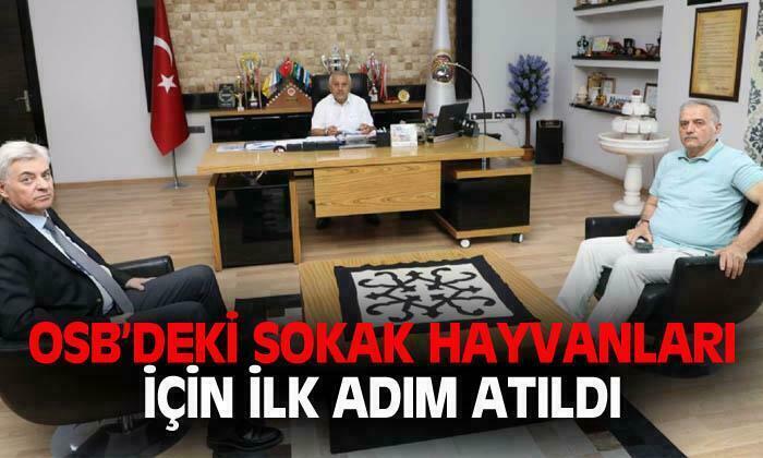 Afyon OSB’de sokak hayvanları için harekete geçildi