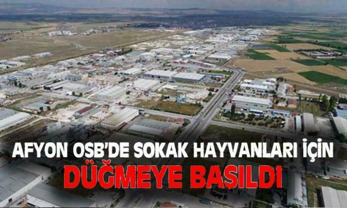 OSB’de yaşayan sokak hayvanları için düğmeye basıldı