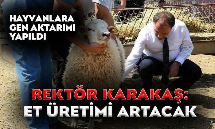 Rektör Mehmet Karakaş AKÜ Çiftliğini Ziyaret Etti
