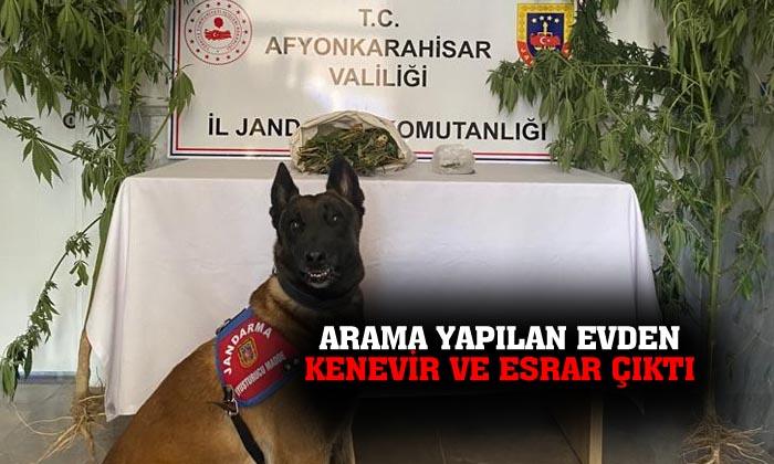 Afyonkarahisar’da arama yapılan evden esrar ve kenevir çıktı