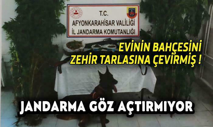 Jandarma Göz Açtırmıyor