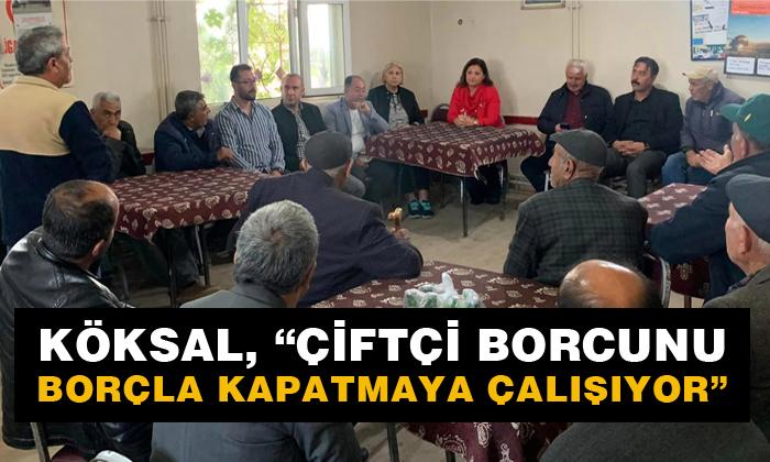 KÖKSAL, “ÇİFTÇİ BORCUNU BORÇLA KAPATMAYA ÇALIŞIYOR”