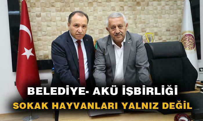 SOKAK HAYVANLARI YALNIZ DEĞİL