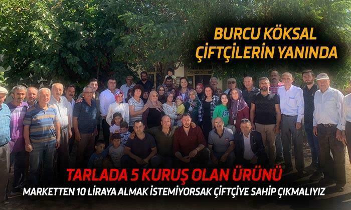 CHP Afyon Milletvekili Burcu Köksal çiftçilerin yanında