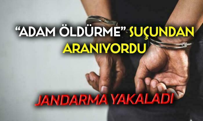 Katil Zanlısını Jandarma Yakaladı