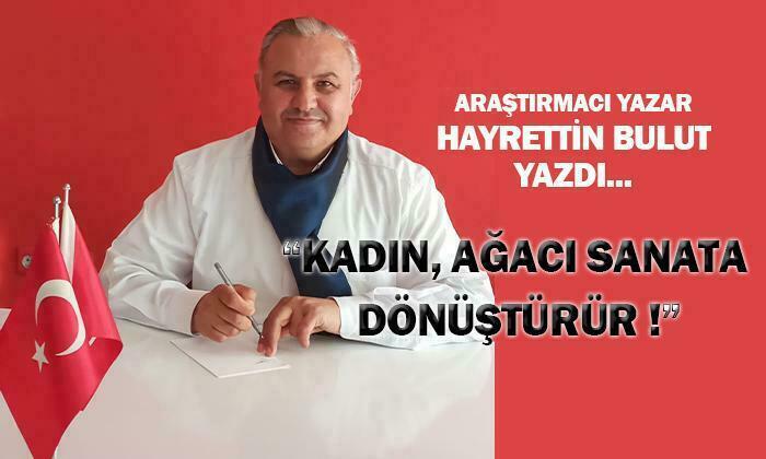KADIN AĞACI SANATA DÖNÜŞTÜRÜR !