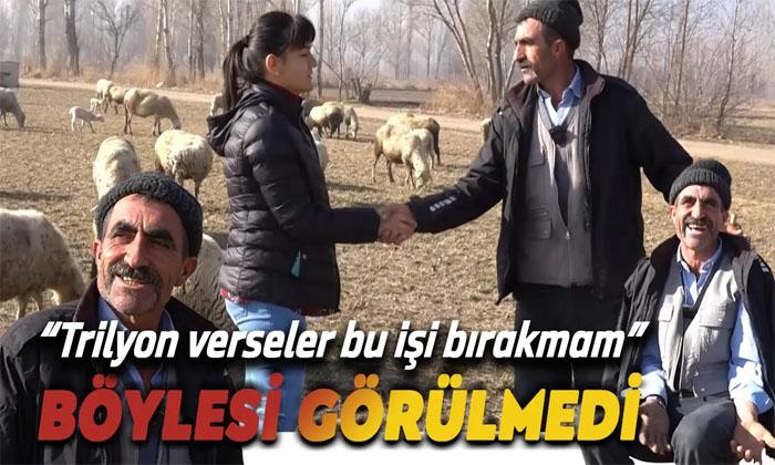 Afyonkarahisar’da Böyle Çoban Görülmedi