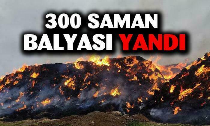 Afyonkarahisar’da 300 saman balyası yandı
