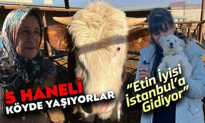 Afyonkarahisar’da 5 haneli köy