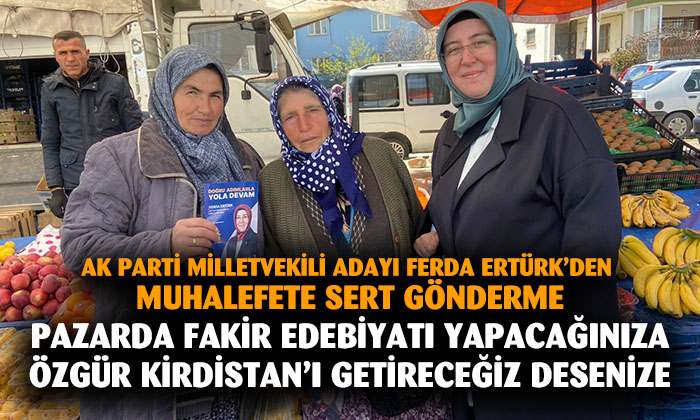 AK Parti Milletvekili adayı Ferda Ertürk, sahada