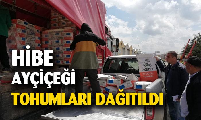 Afyonkarahisar’da hibe ayçiçeği tohumları dağıtıldı