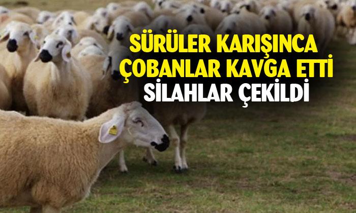 Afyonkarahisar’da çobanlar kavga etti