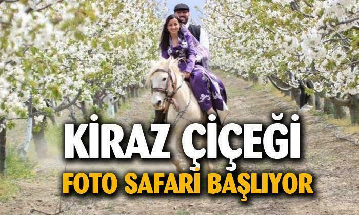 Afyonkarahisar’da kiraz çiçeği foto safari başlıyor