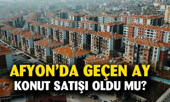Afyonkarahisar’da geçen ay konut satışı oldu mu ?